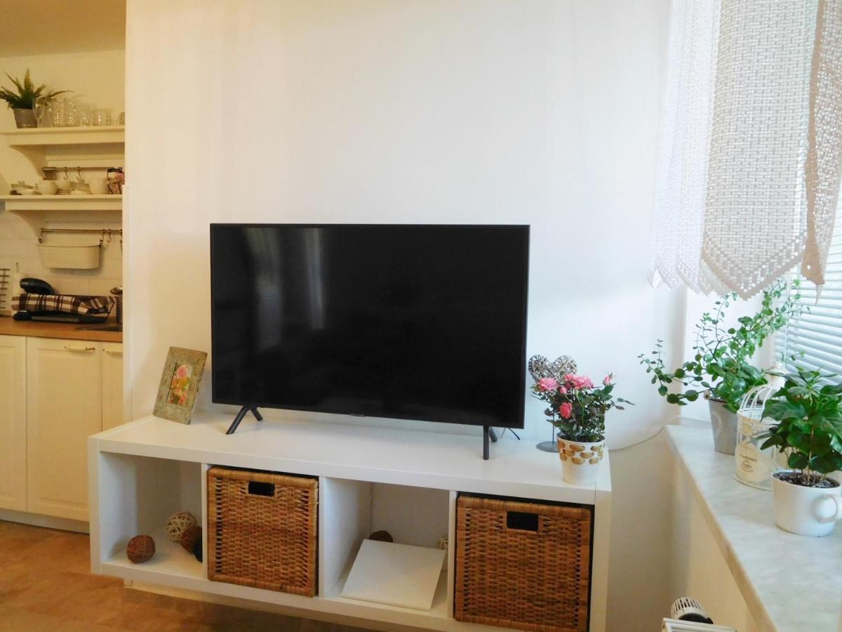 Apartment Borovi *