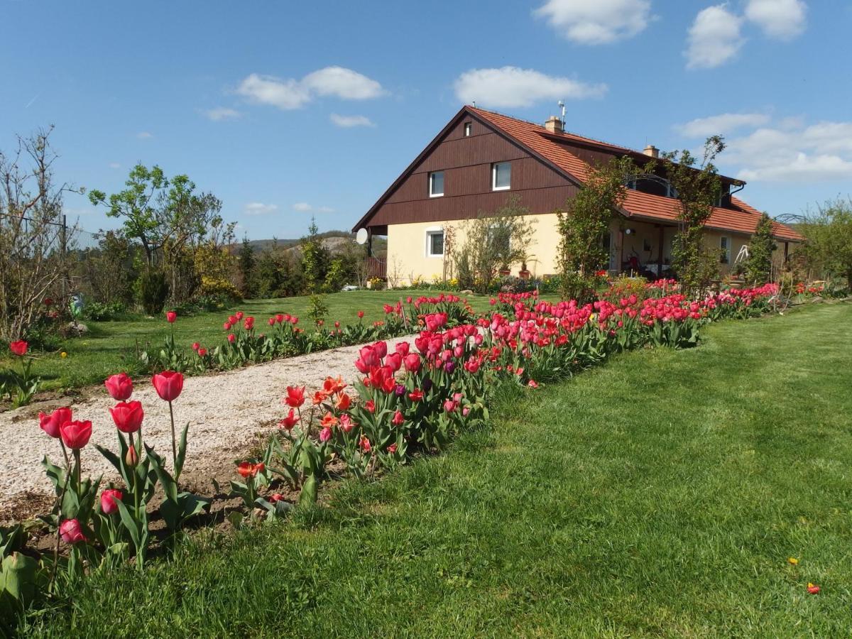 Borovi Karlštejn